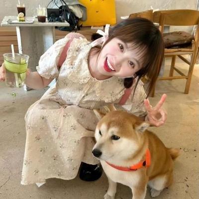 公牛费迪南